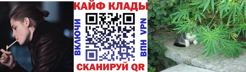 Псилоцибиновые грибы Гулькевичи