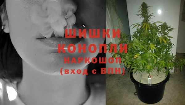 гидра Беломорск