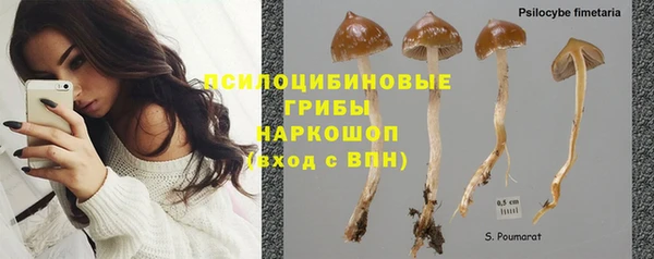 каннабис Белокуриха