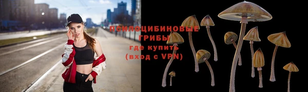 каннабис Белокуриха