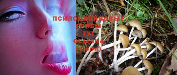 спиды Белоозёрский