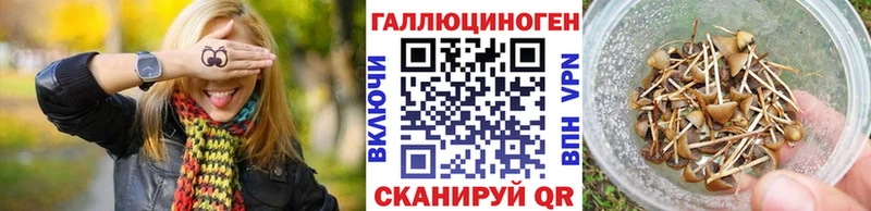 MEGA зеркало  Гулькевичи  Галлюциногенные грибы Psilocybine cubensis 