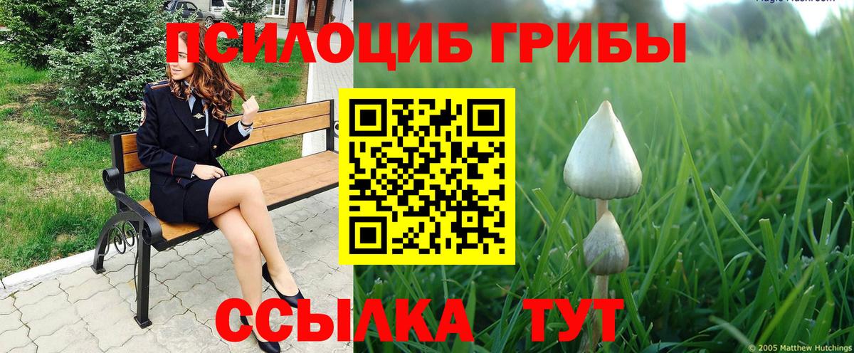 Галлюциногенные грибы Psilocybine cubensis Гулькевичи