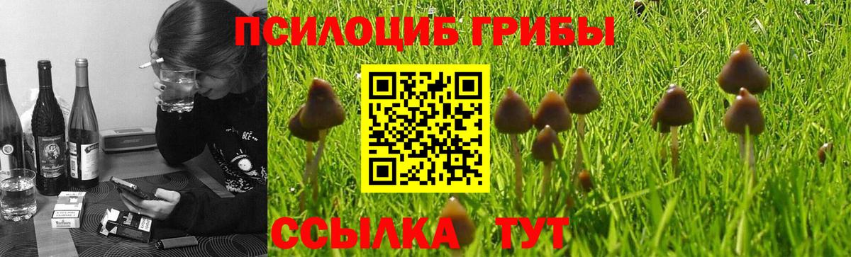 Гулькевичи  Галлюциногенные грибы прущие грибы  Вход с VPN 